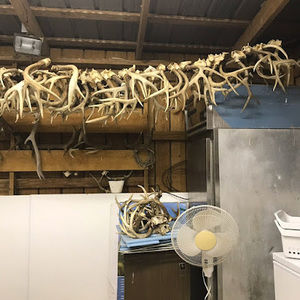 Meet your Posher, Will